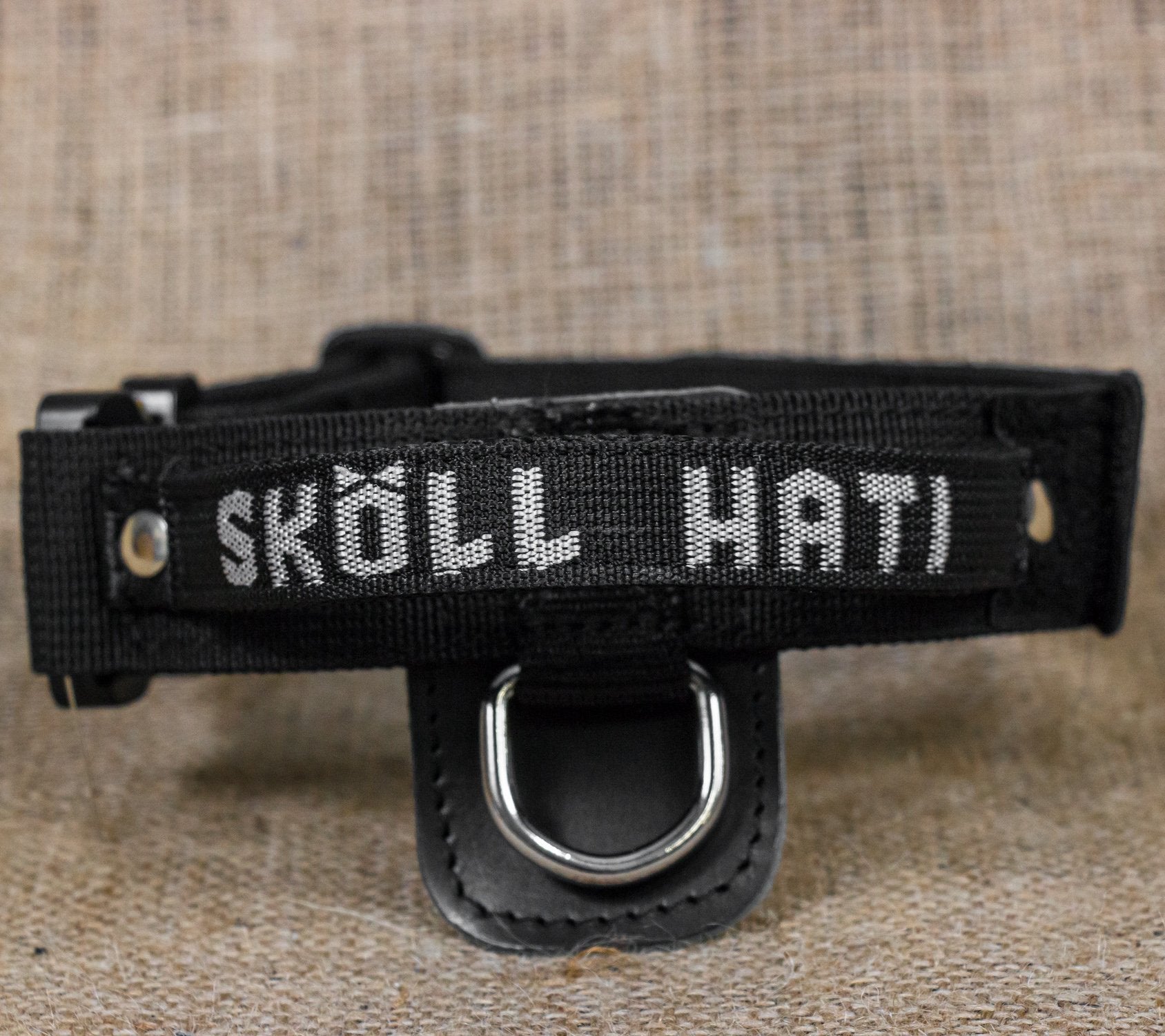 SKÖLLHATI NYLON ID COLLAR WITH COBRA BUCKLE